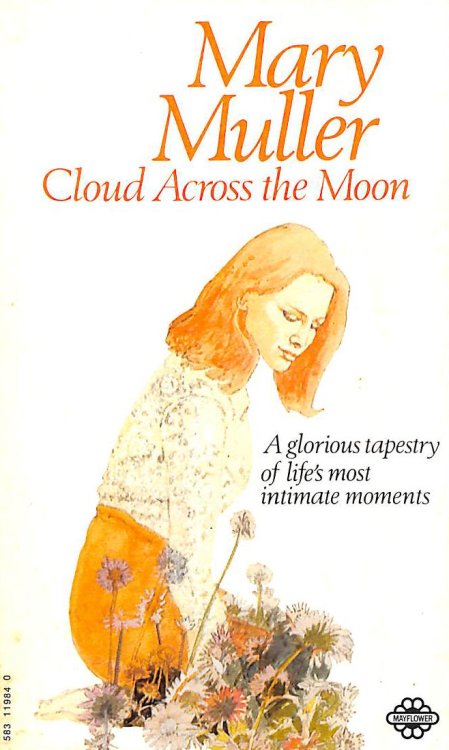 Cloud Across the Moon