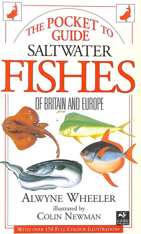 Pocket Guide to Saltwater Fishes of Britain and Europe