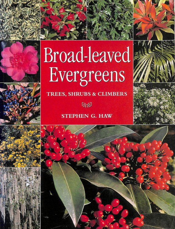 Broad-leaved Evergreens: Trees, Shrubs and Climbers