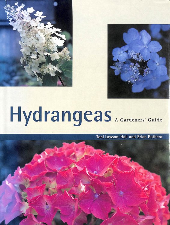Hydrangeas A Gardener's Guide
