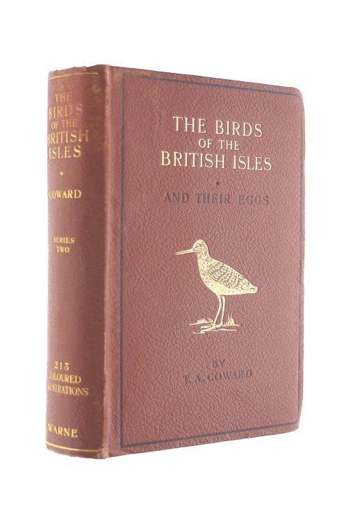 The Birds Of The British Isles And Their Eggs Series II ( 2 )