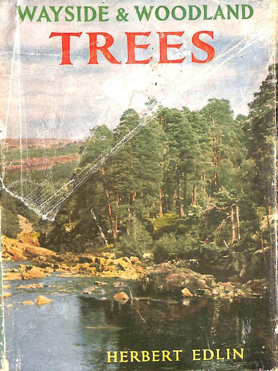 Wayside and Woodland Trees (Wayside & Woodland S.)