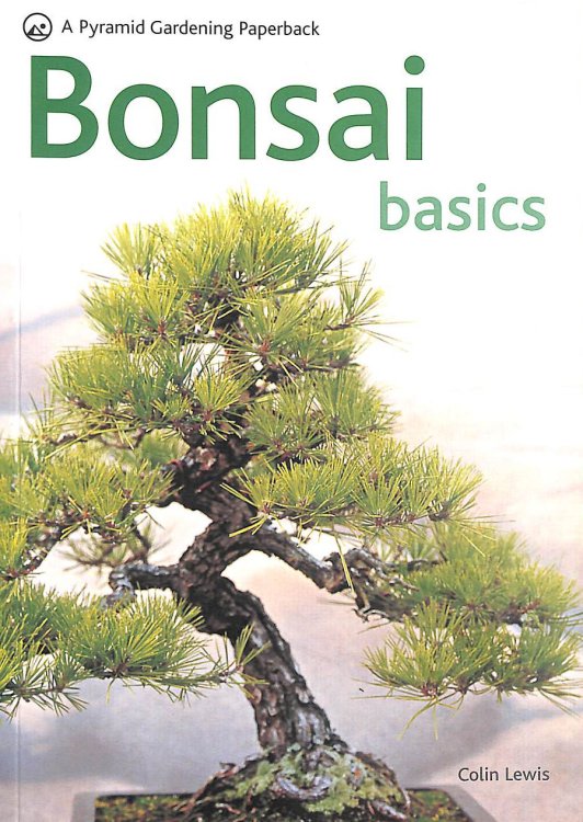 Bonsai Basics