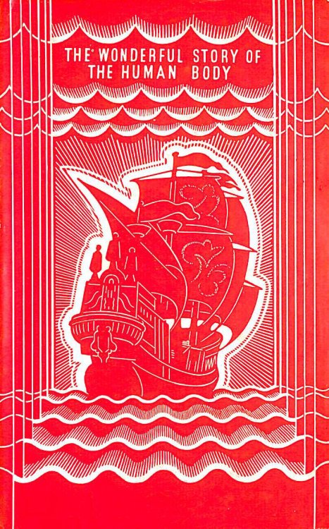 The Wonderful Story of the Human Body