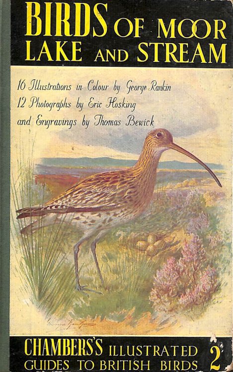 Birds Of Moor, Lake And Stream