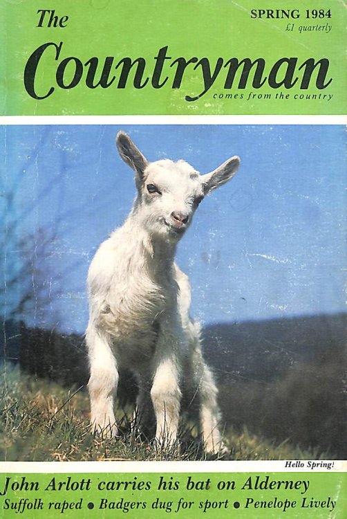 The Countryman Volume 89,No.1 Spring 1984