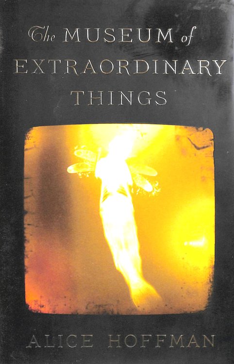 The Museum of Extraordinary Things