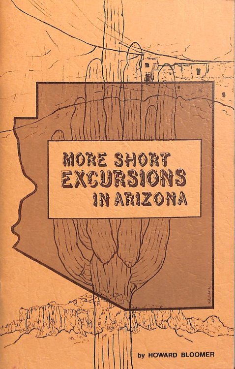 More Short Excursions in Arizona
