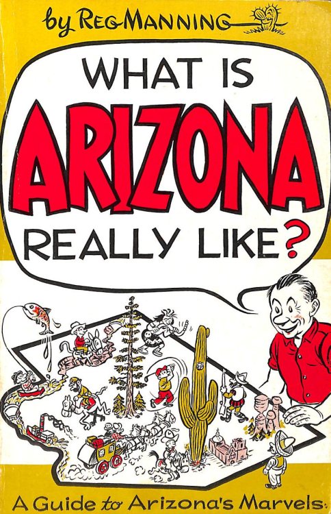 What is Arizona Really Like