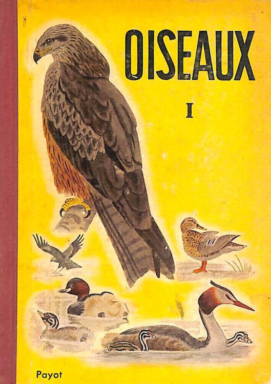 Oiseaux I