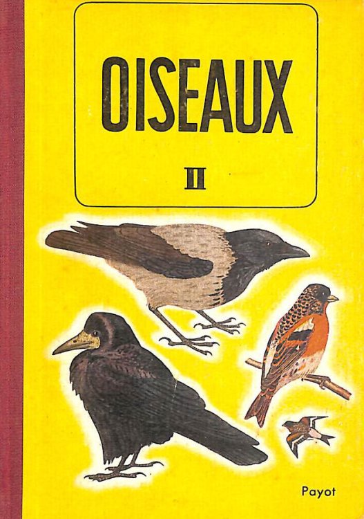 Oiseaux II