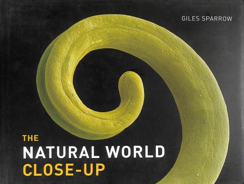 The Natural World Close-Up