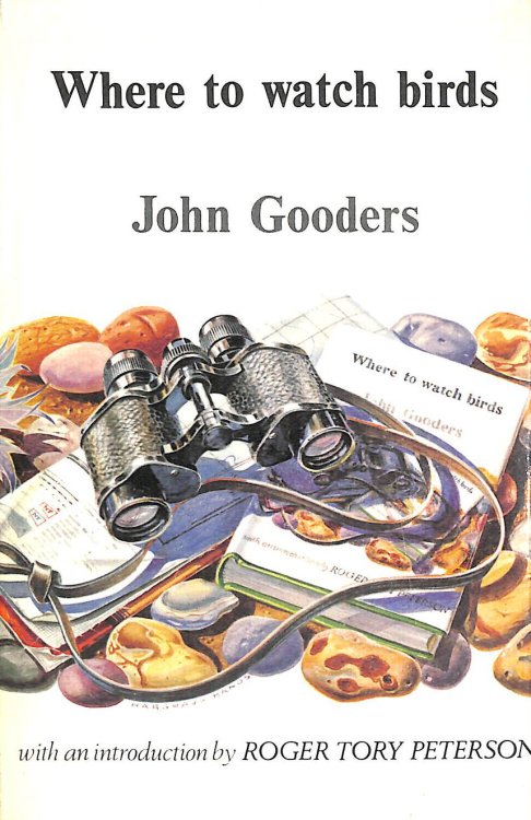 Where To Watch Birds