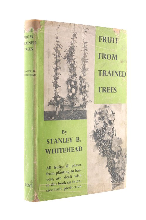 Fruit From Trained Trees
