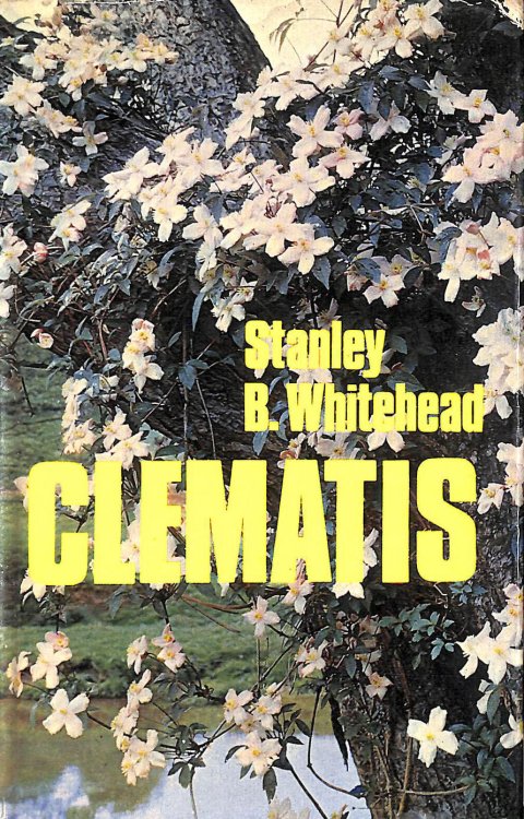 Garden Clematis