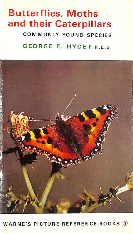 Butterflies, Moths and Their Caterpillars (Picture Reference Books)