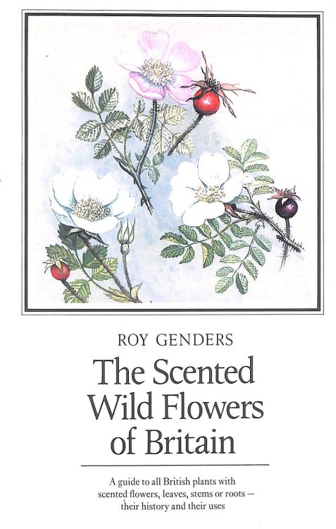 Scented Wild Flowers of Britain