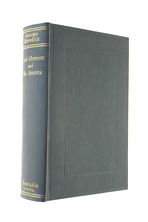 Lord Ormont And His Aminta