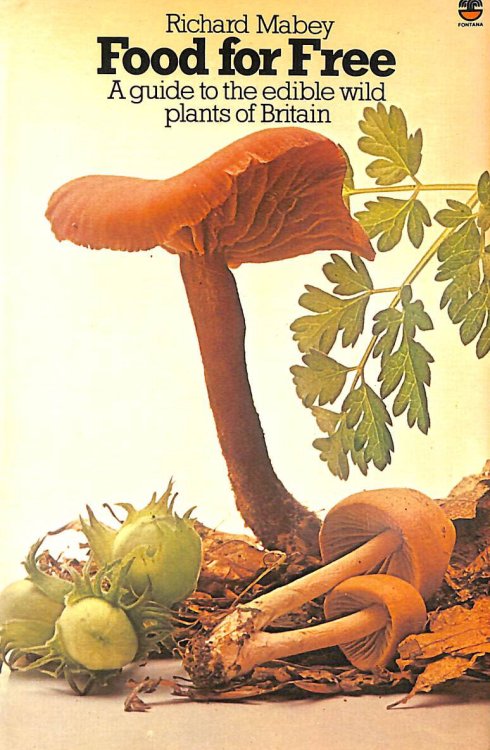 Food for free: a guide to the edible wild plants of Britain
