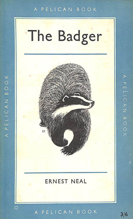 The Badger