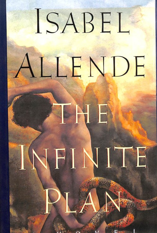The Infinite Plan: A Novel