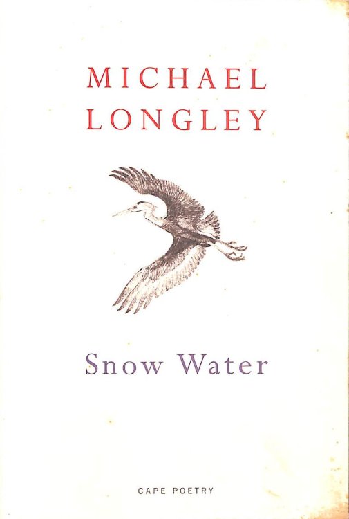 Snow Water