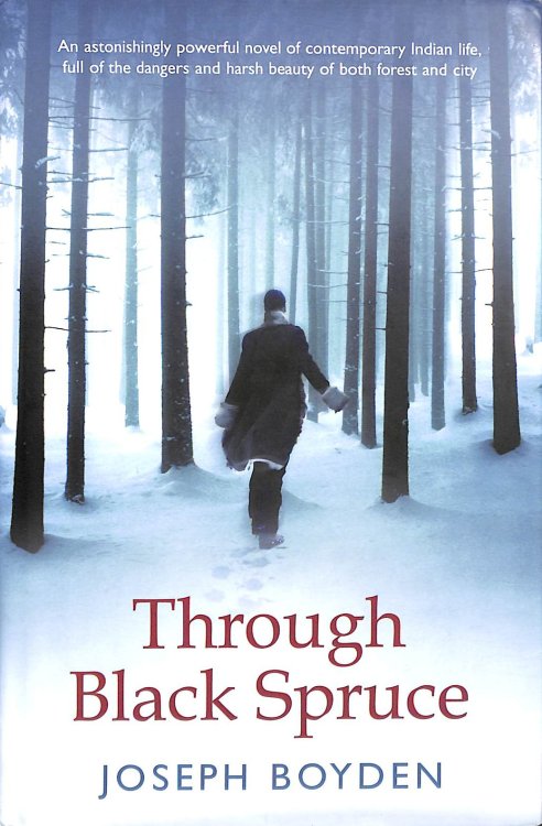 Through Black Spruce