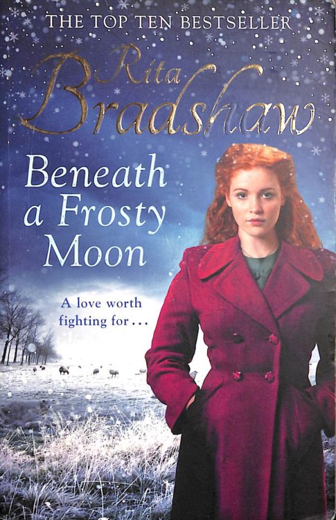 Beneath a Frosty Moon