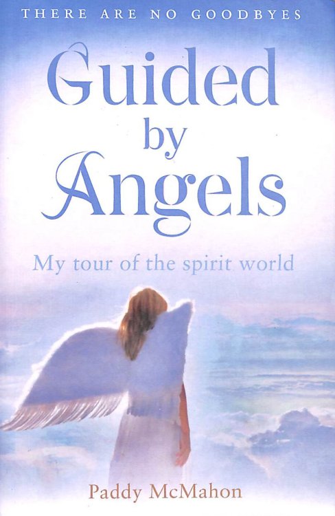 Guided by Angels: My Tour of the Spirit World: There Are No Goodbyes, My Tour of the Spirit World