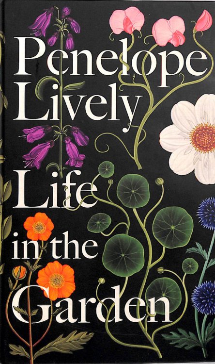 Life in the Garden
