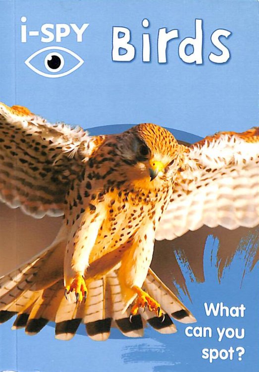 i-SPY Birds: What can you spot (Collins Michelin i-SPY Guides)