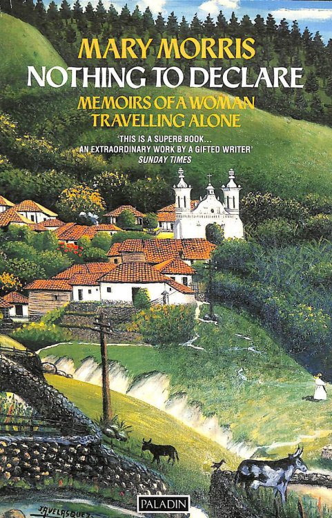Nothing to Declare: Memoirs of a Woman Travelling Alone (Paladin Books)