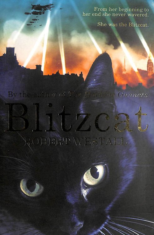Blitzcat