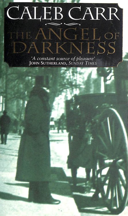 The Angel Of Darkness: Number 2 in series (Laszlo Kreizler & John Schuyler Moore)