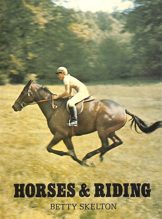 Horses and Riding