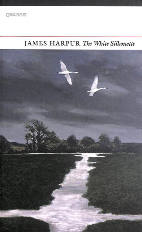 The White Silhouette