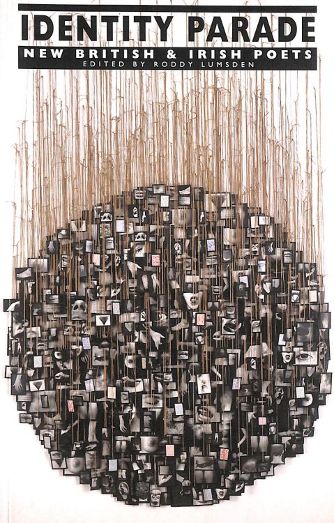 Identity Parade: New British and Irish Poets (New British & Irish Poets)