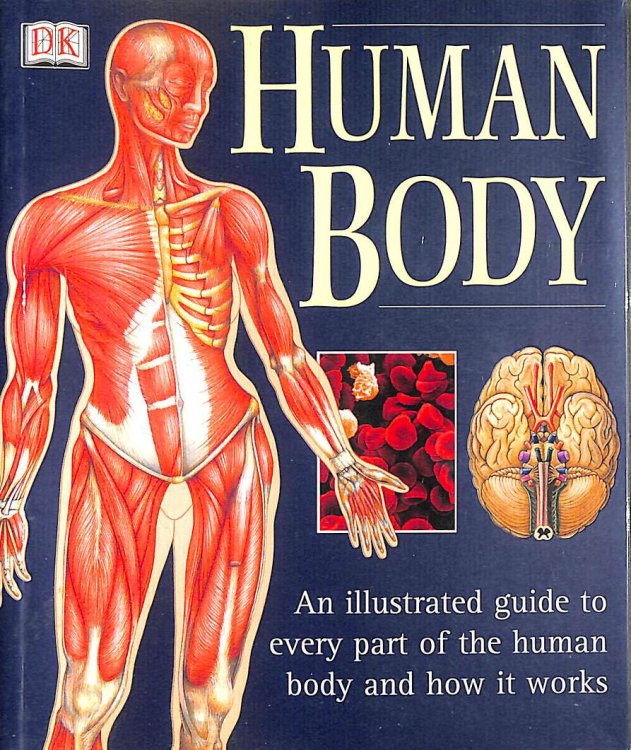 Human Body: An Illustrated Guide To Every Part Of The Human Body And How It Works