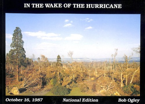 In the Wake of the Hurricane