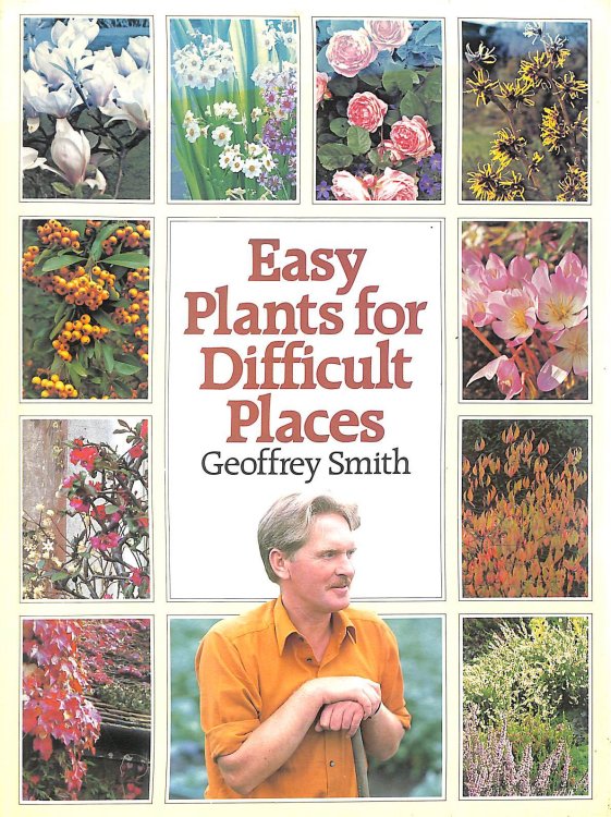 Easy Plants for Difficult Places
