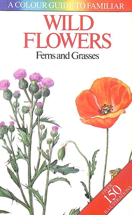 Wild Flowers: A Color Guide to Familiar Wild Flowers: Ferns and Grasses