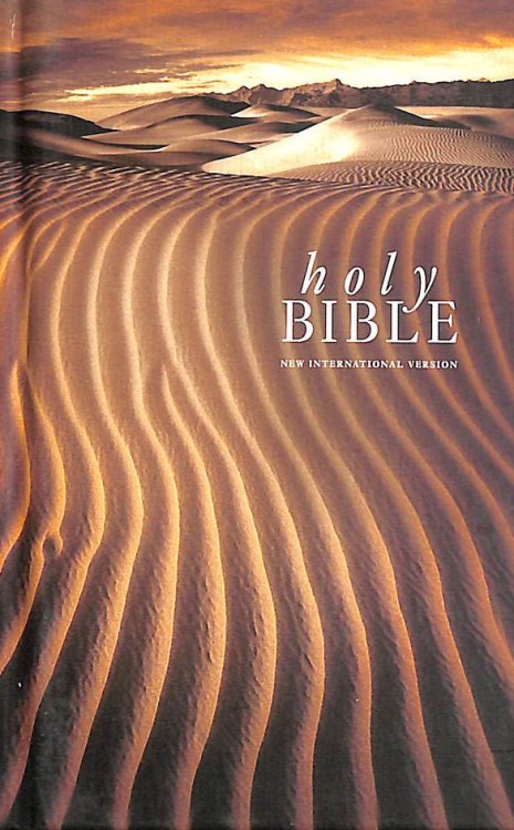 NIV Pocket Brown, Desert Image