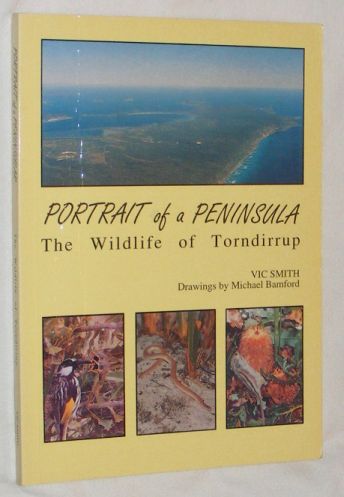 Portrait of a Peninsula: The Wildlife of Torndirrup