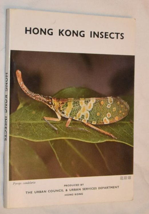 Hong Kong Insects