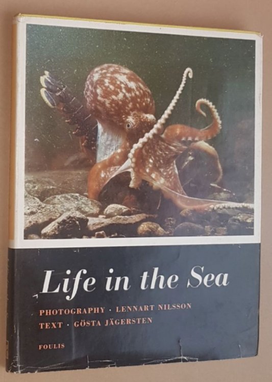 Life in the Sea