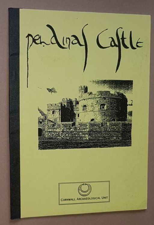 Pendinas [Pendennis] Castle: an account of the evaluation excavations undertaken on the Chemise in 1989