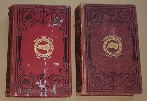 Curiosities of Natural History [4 volumes]
