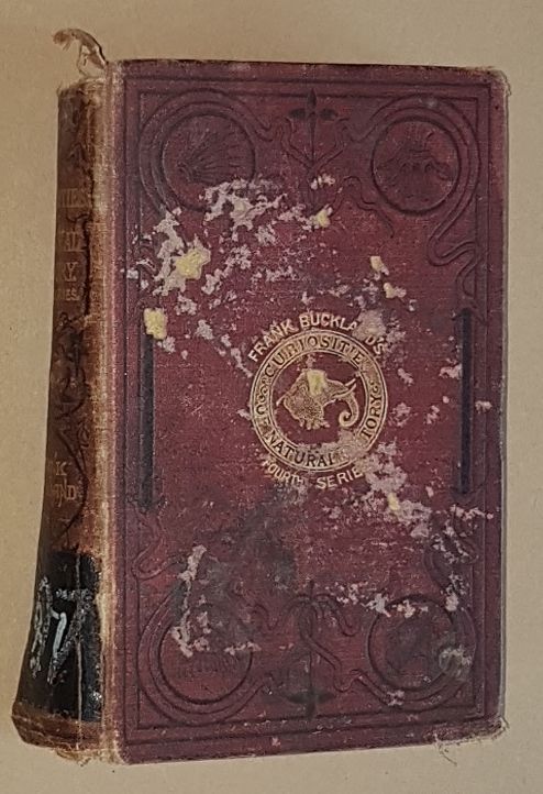 Curiosities of Natural History Fourth Series