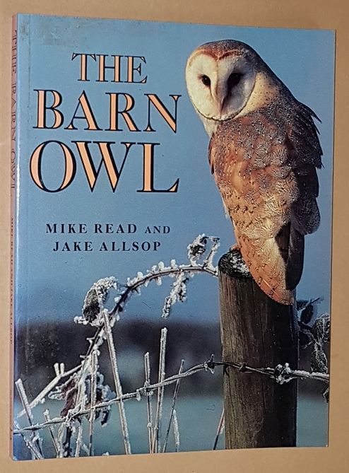 The Barn Owl