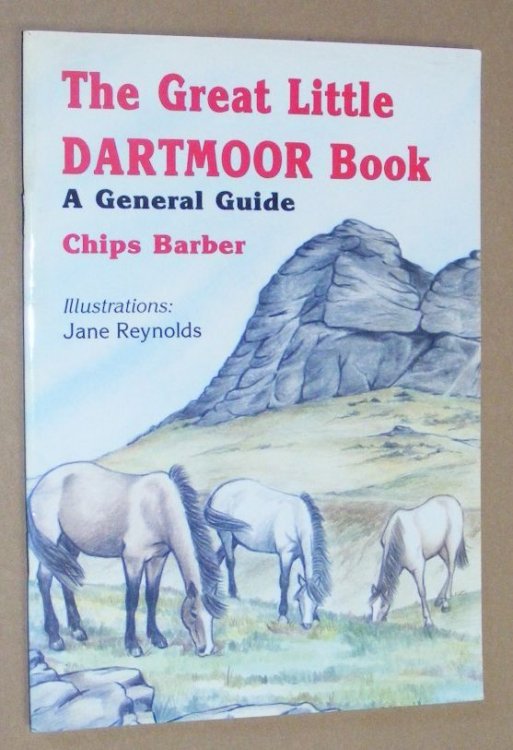The Great Little Dartmoor Book